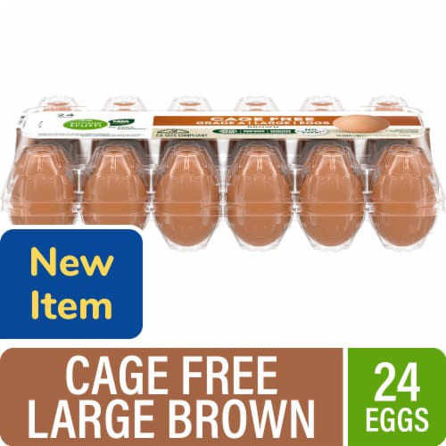 slide 1 of 1, Simple Truth® Cage Free Grade A Large Brown Eggs, 24 ct