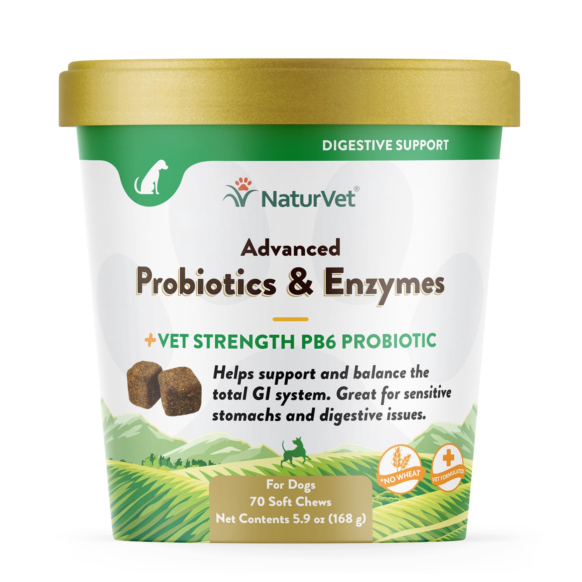 slide 1 of 1, NaturVet Advanced Probiotics & Enzymes, 1 ct