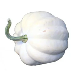 Case White Acorn Squash