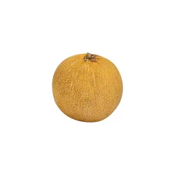 Galia Melon
