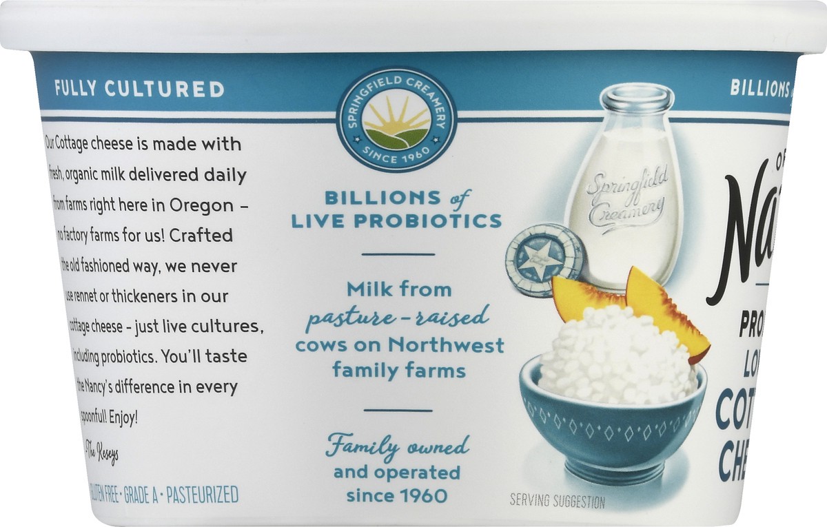 slide 5 of 13, Nancy's Probiotic Organic Lowfat 2% Milkfat Min Cottage Cheese 16 oz, 16 oz