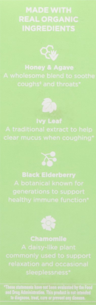 slide 5 of 13, Hyland's Naturals Organic 1-12 Years Kids Nighttime All-in-One Organic Grape Flavor Cough Syrup 4 fl oz, 4 fl oz