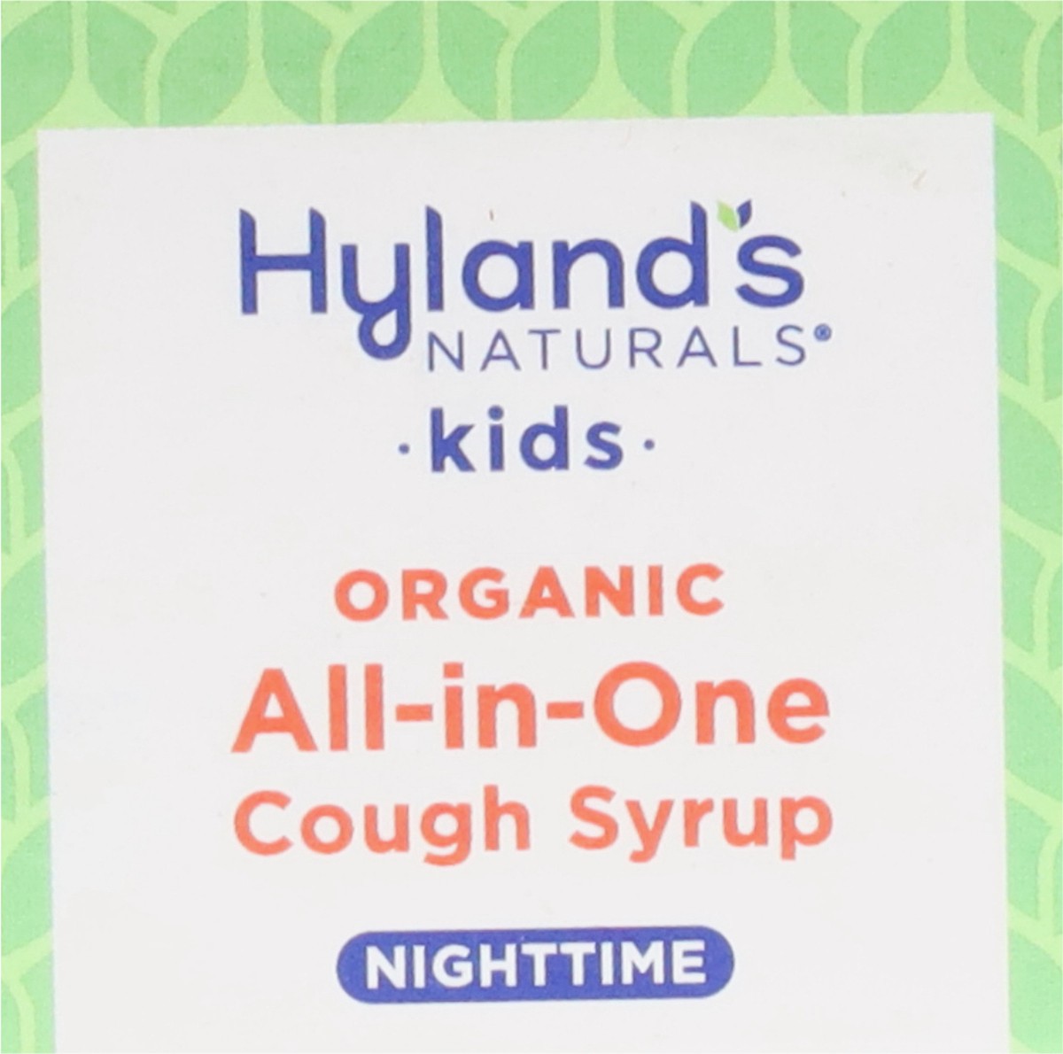 slide 8 of 13, Hyland's Naturals Organic 1-12 Years Kids Nighttime All-in-One Organic Grape Flavor Cough Syrup 4 fl oz, 4 fl oz