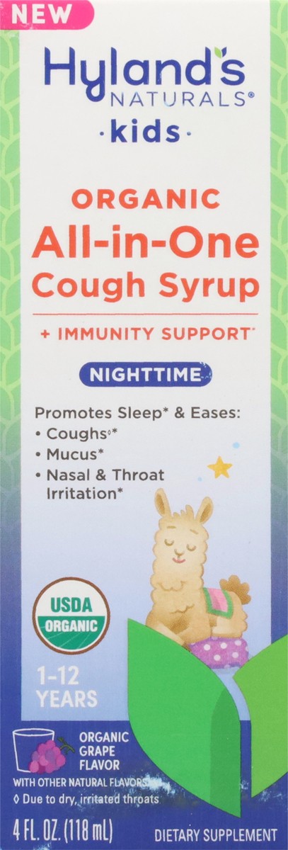 slide 7 of 13, Hyland's Naturals Organic 1-12 Years Kids Nighttime All-in-One Organic Grape Flavor Cough Syrup 4 fl oz, 4 fl oz