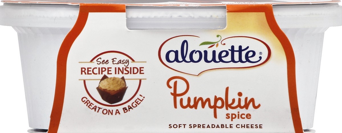 slide 3 of 3, Alouette Pumpkin Spice Spreadable Cheese, 6 oz