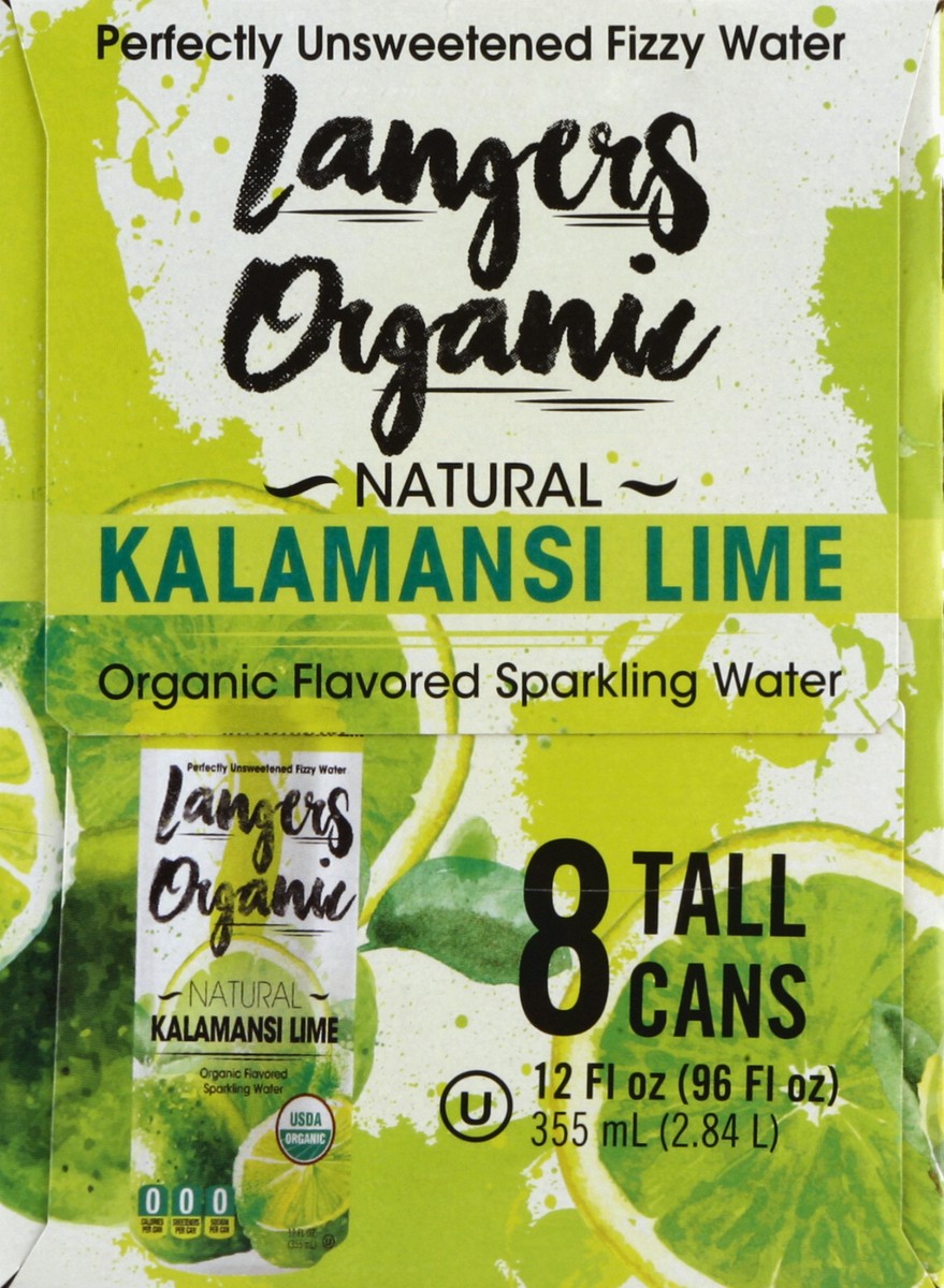 slide 7 of 8, Langers Sparkling Water - 8 ct, 8 ct; 12 oz