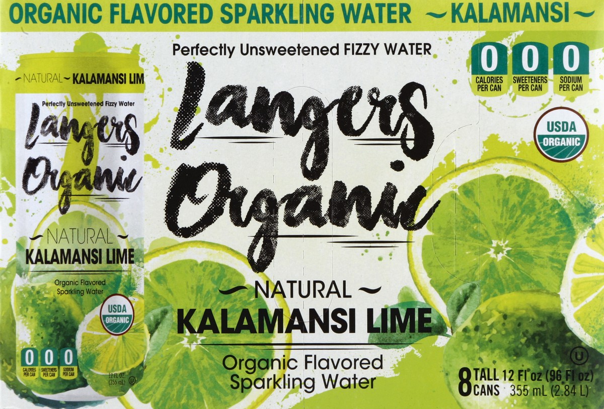 slide 1 of 8, Langers Sparkling Water - 8 ct, 8 ct; 12 oz