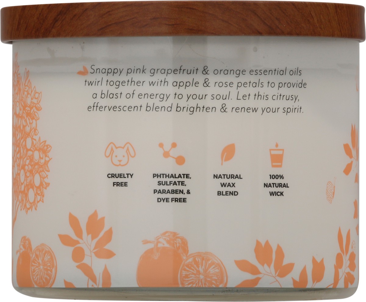 slide 7 of 9, Candle-Lite Esel Salted Grapefruit Pomelo, 14.75 oz