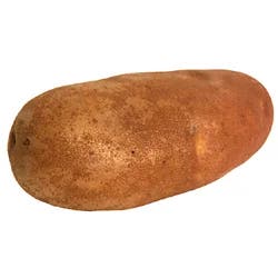 Russet Potato