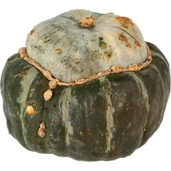 Fresh Green Buttercup Squash