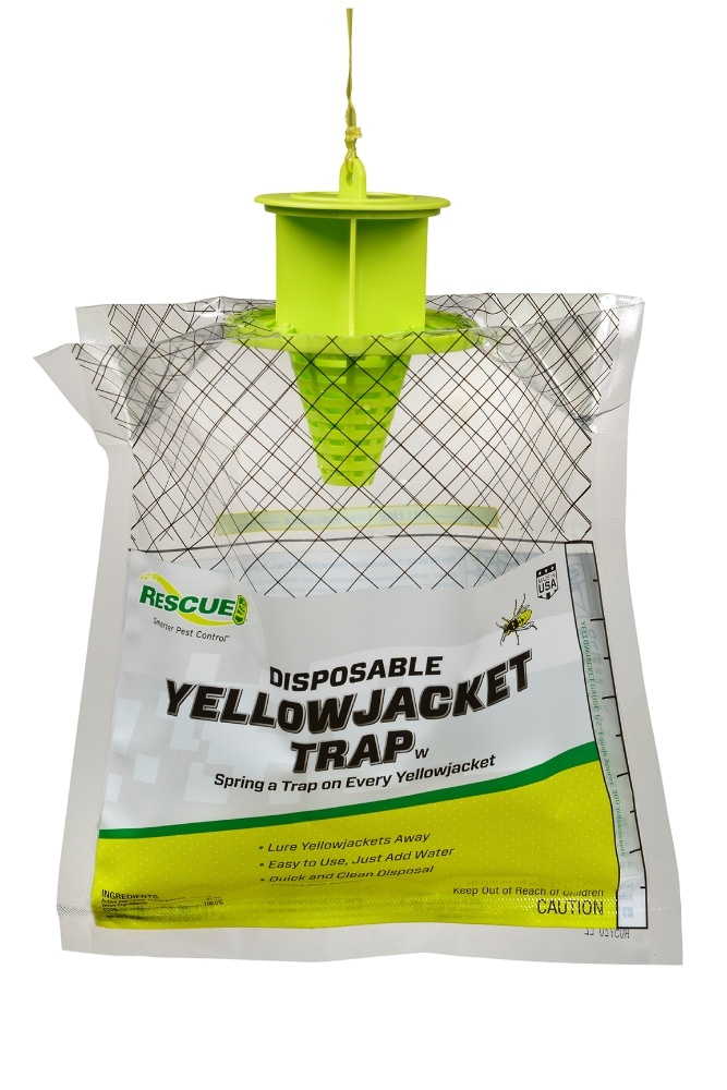 slide 1 of 1, Sterling Yellow Jacket Trap Rescue Disposable, 1 ct