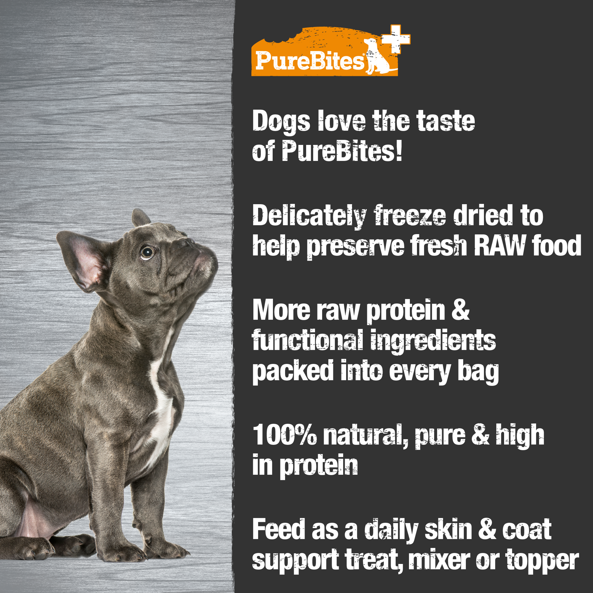slide 5 of 5, PureBites+ Freeze Dried Dog Treat 3.0oz | Skin & Coat | 5 Ingredients | Made in USA, 85 g