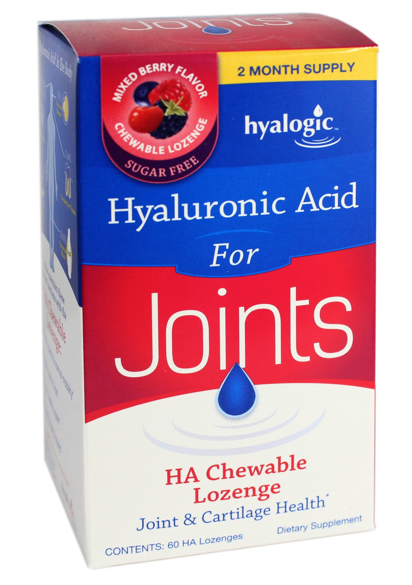 slide 1 of 1, Hyalogic Joint Logic, 60 ct