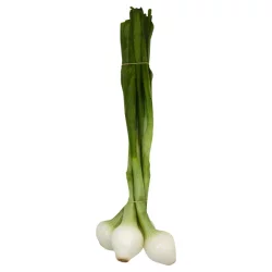 Produce Knobby Onions