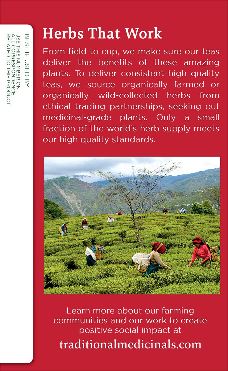 slide 5 of 6, Traditional Medicinals Organic Echinacea Plus, Caffeine Free Herbal Tea, 16 ct