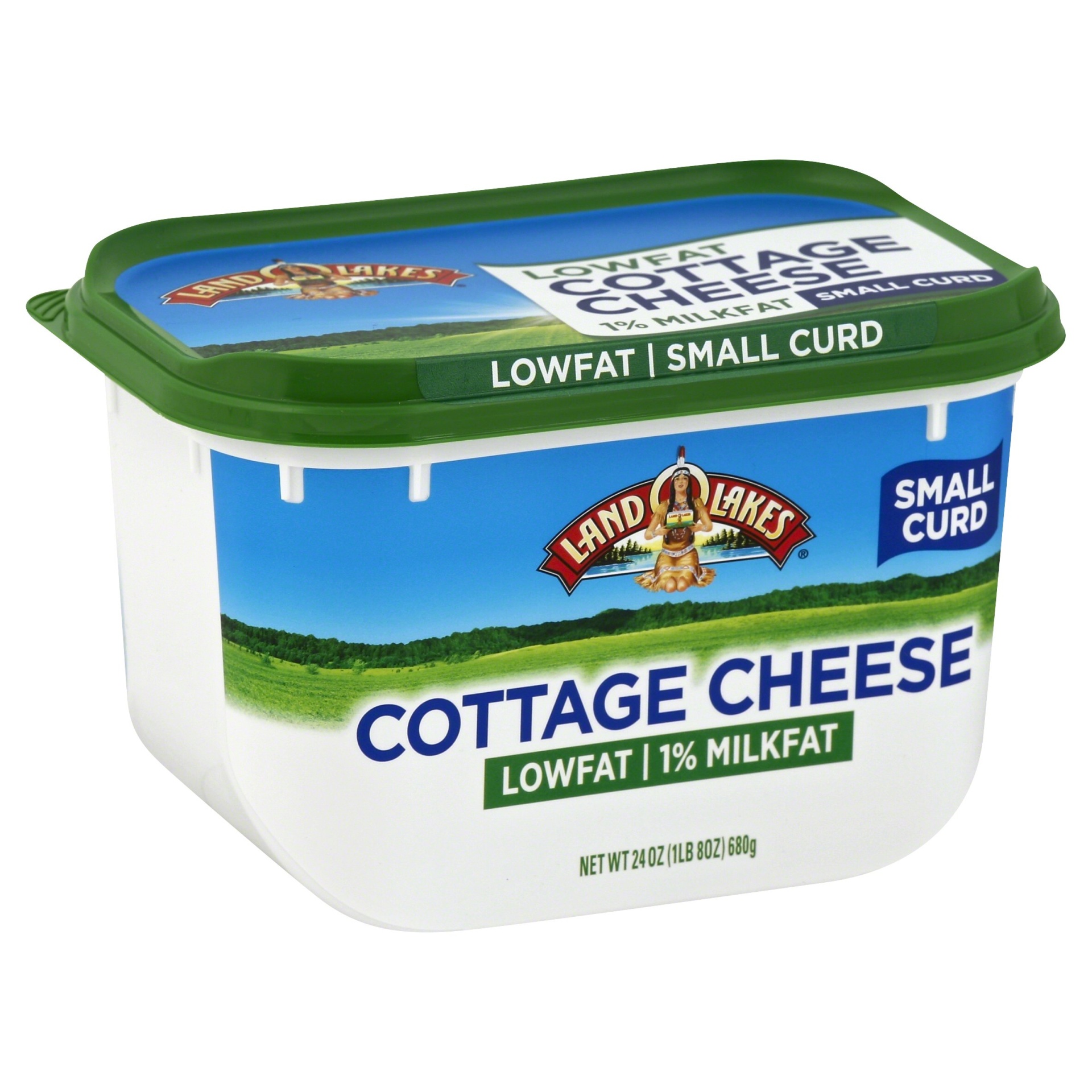 slide 1 of 1, Land O'Lakes Cottage Cheese 24 oz, 24 oz