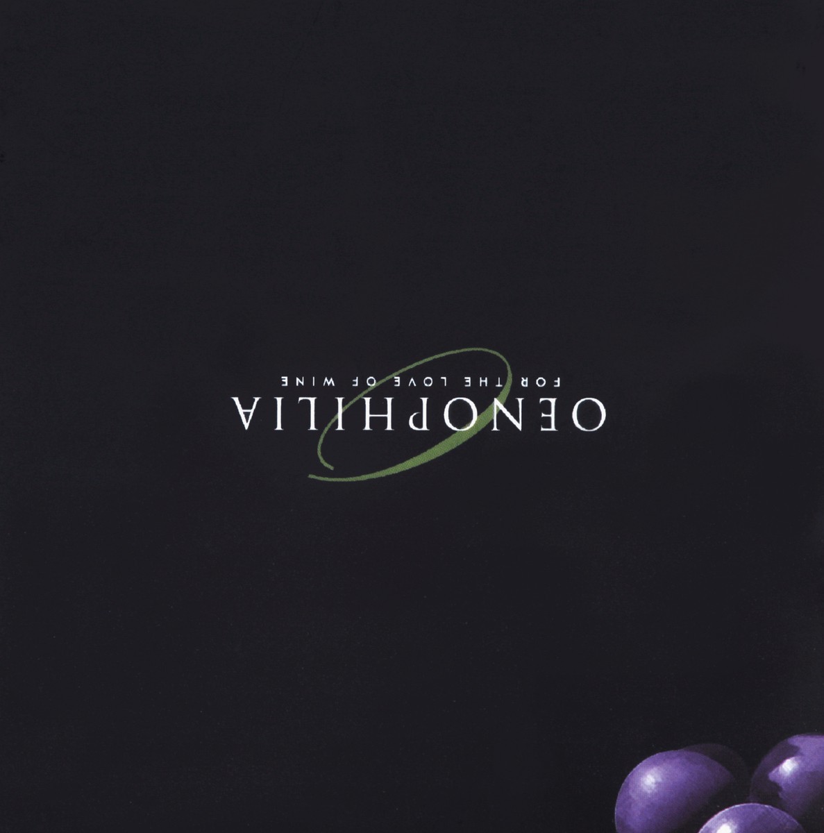 slide 4 of 5, Oenophilia Wine Bottle Marble Chiller Green, 1 ct