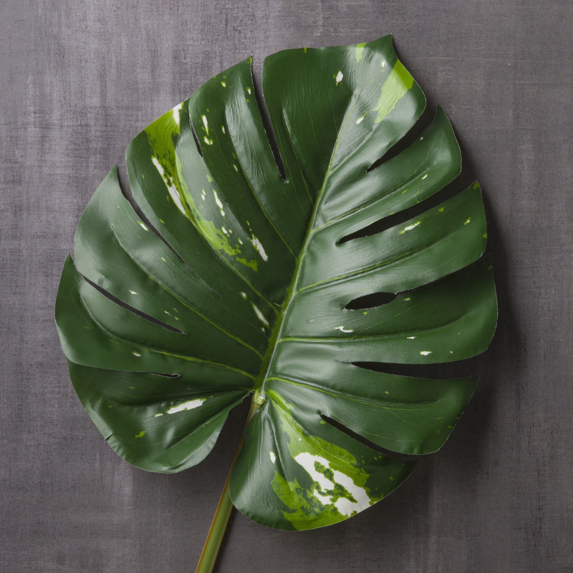 slide 2 of 3, Monstera Leaf Stem By Ashland, 37 in