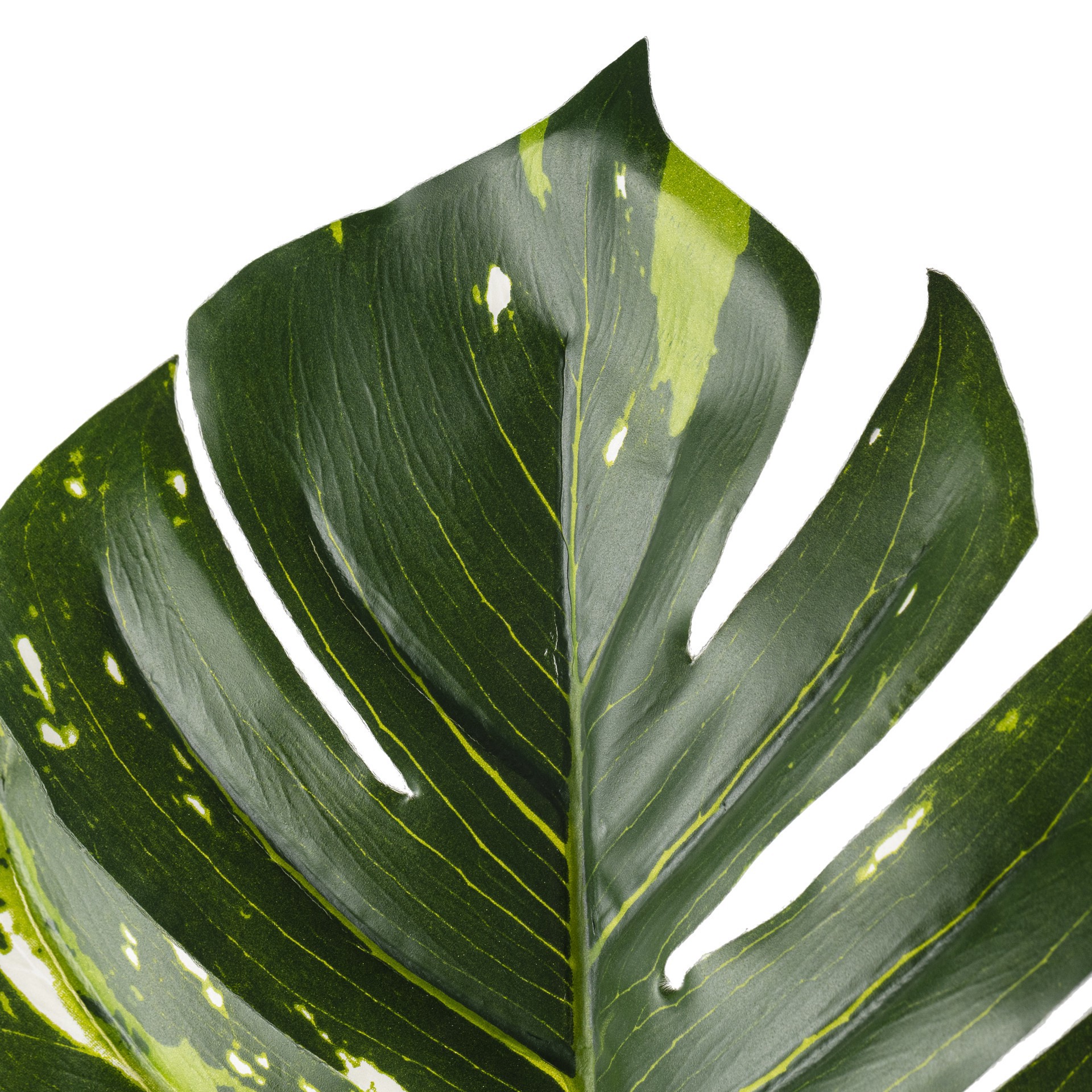 slide 3 of 3, Monstera Leaf Stem By Ashland, 37 in