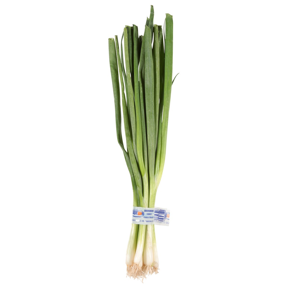 slide 1 of 10, Green Onions, 1 ct