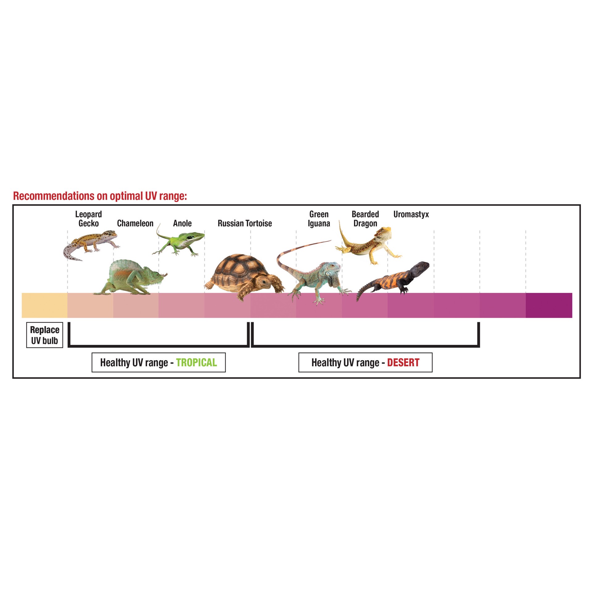 slide 8 of 10, Zilla Rapid Sense Decor Medium Poplar Log, 1 ct