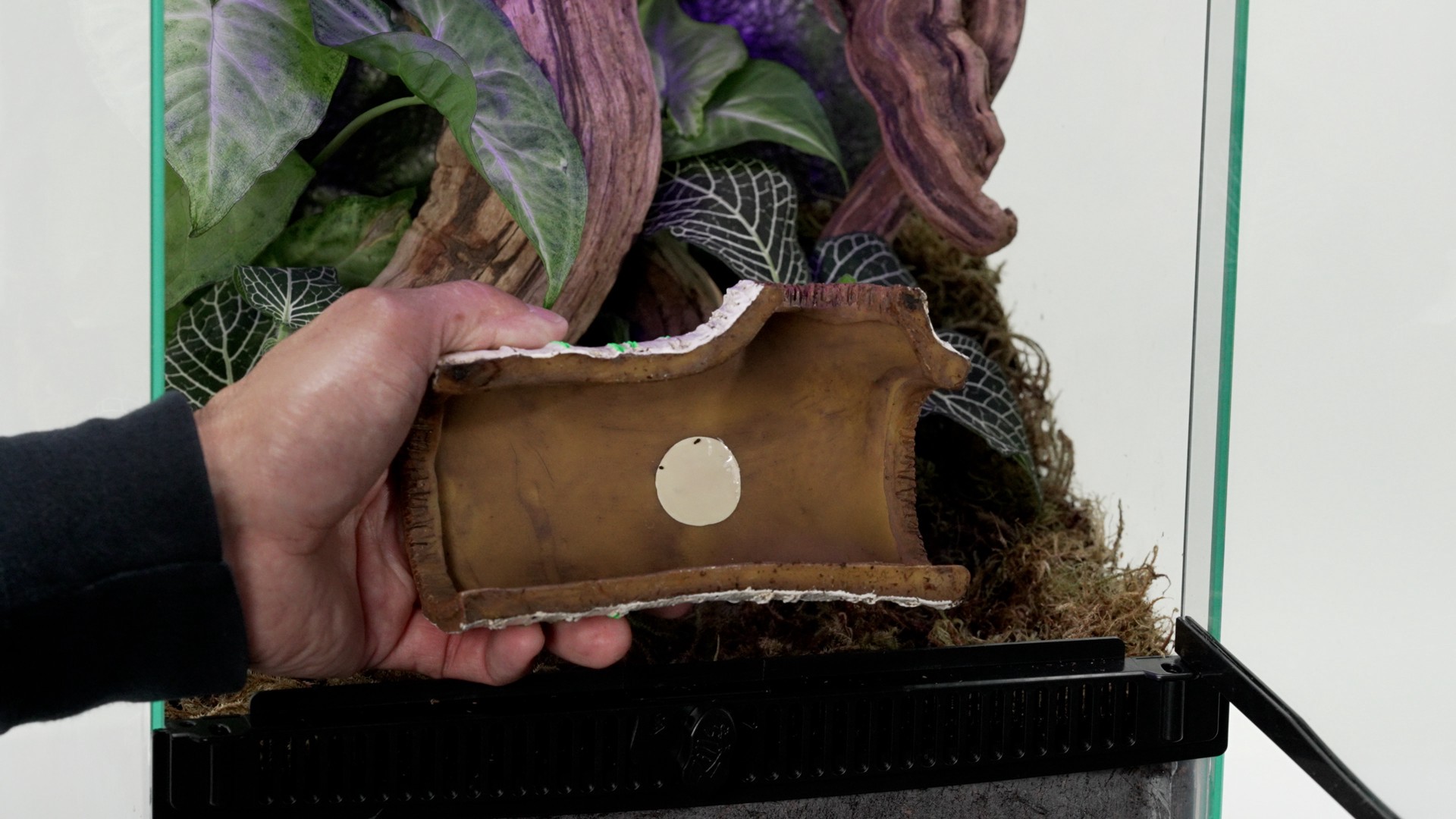 slide 10 of 10, Zilla Rapid Sense Decor Medium Poplar Log, 1 ct