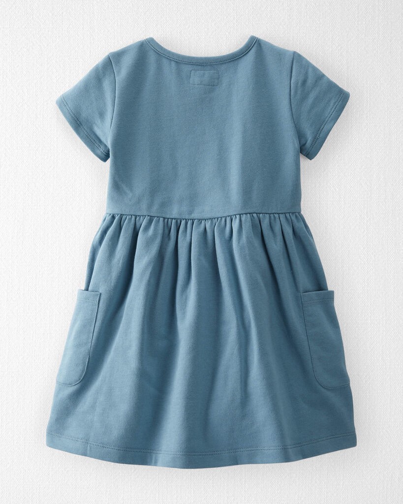 slide 2 of 4, Littleplanet Toddler Organic Cotton Pocket Dress in Cottage Blue Cottage Blue 3T, 1 ct