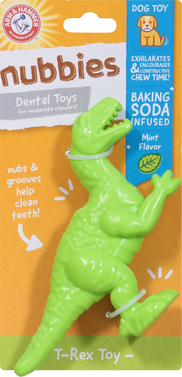 slide 6 of 9, Arm & Hammer Nubbies T-Rex Dental Toy for Dogs Mint Flavor, 1 ct