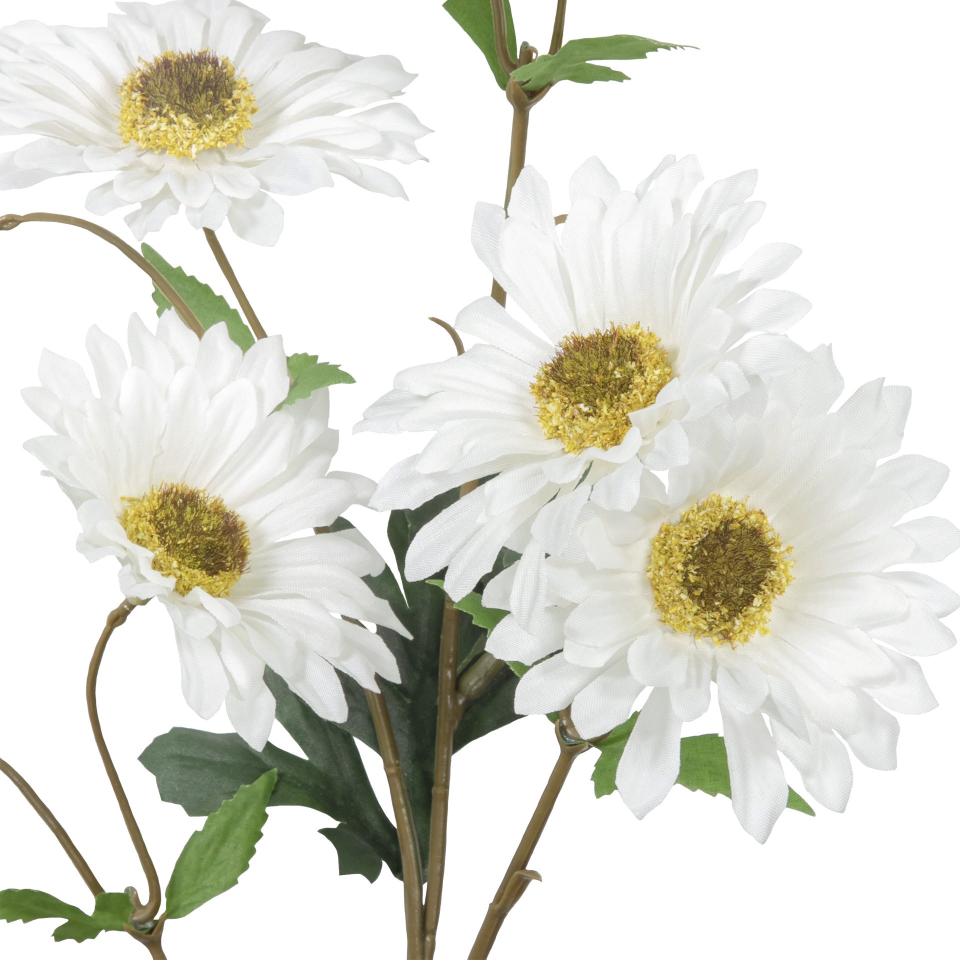 slide 3 of 3, White Daisy Stem By Ashland, 30 in