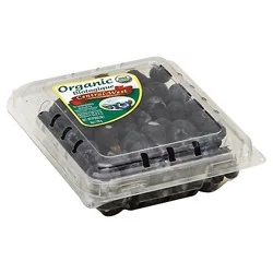 Organic Blueberries Prepacked - 6 Oz