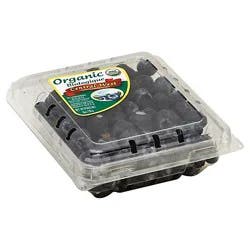 Organic Blueberries Prepacked - 6 Oz