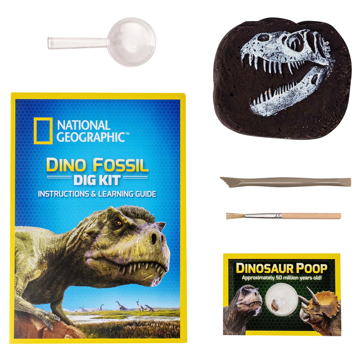 slide 5 of 9, National Geographic Dino Dig Kit, 1 ct