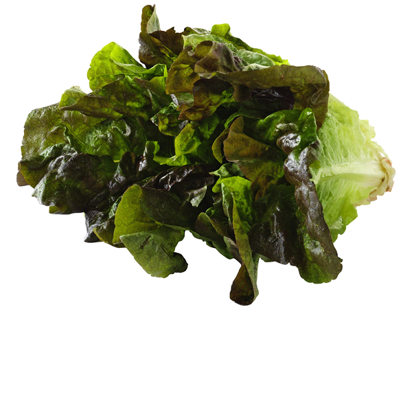 slide 1 of 1, Organic Red Leaf Lettuce, per lb