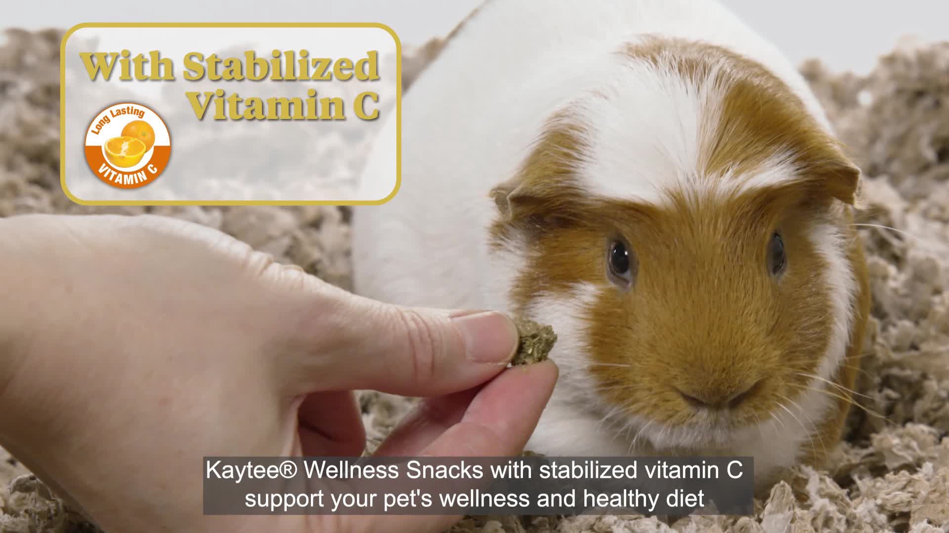 slide 8 of 9, Kaytee Baked Wellness Snacks with Vitamin C Cranberry and Orange, 1 ct