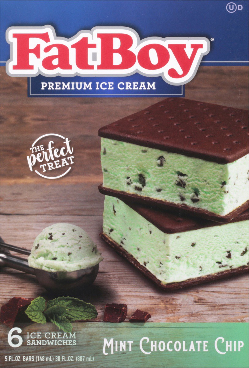 slide 7 of 9, Fat Boy Mint Chocolate Chip Ice Cream Sandwiches 6 Ea, 6 ct