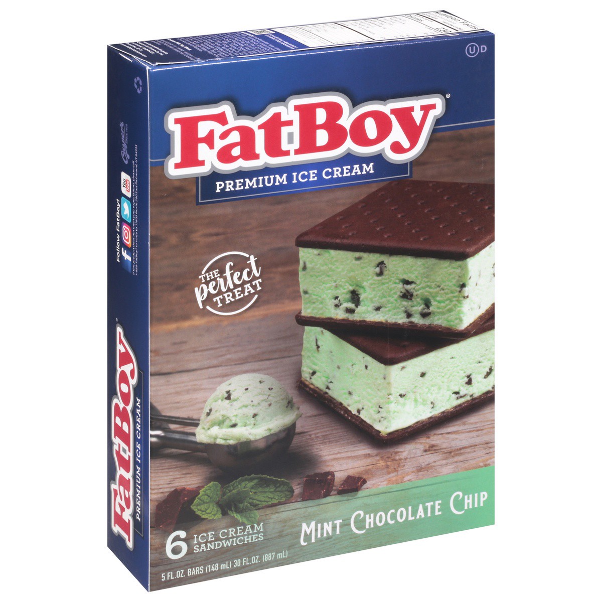 slide 1 of 9, Fat Boy Mint Chocolate Chip Ice Cream Sandwiches 6 Ea, 6 ct