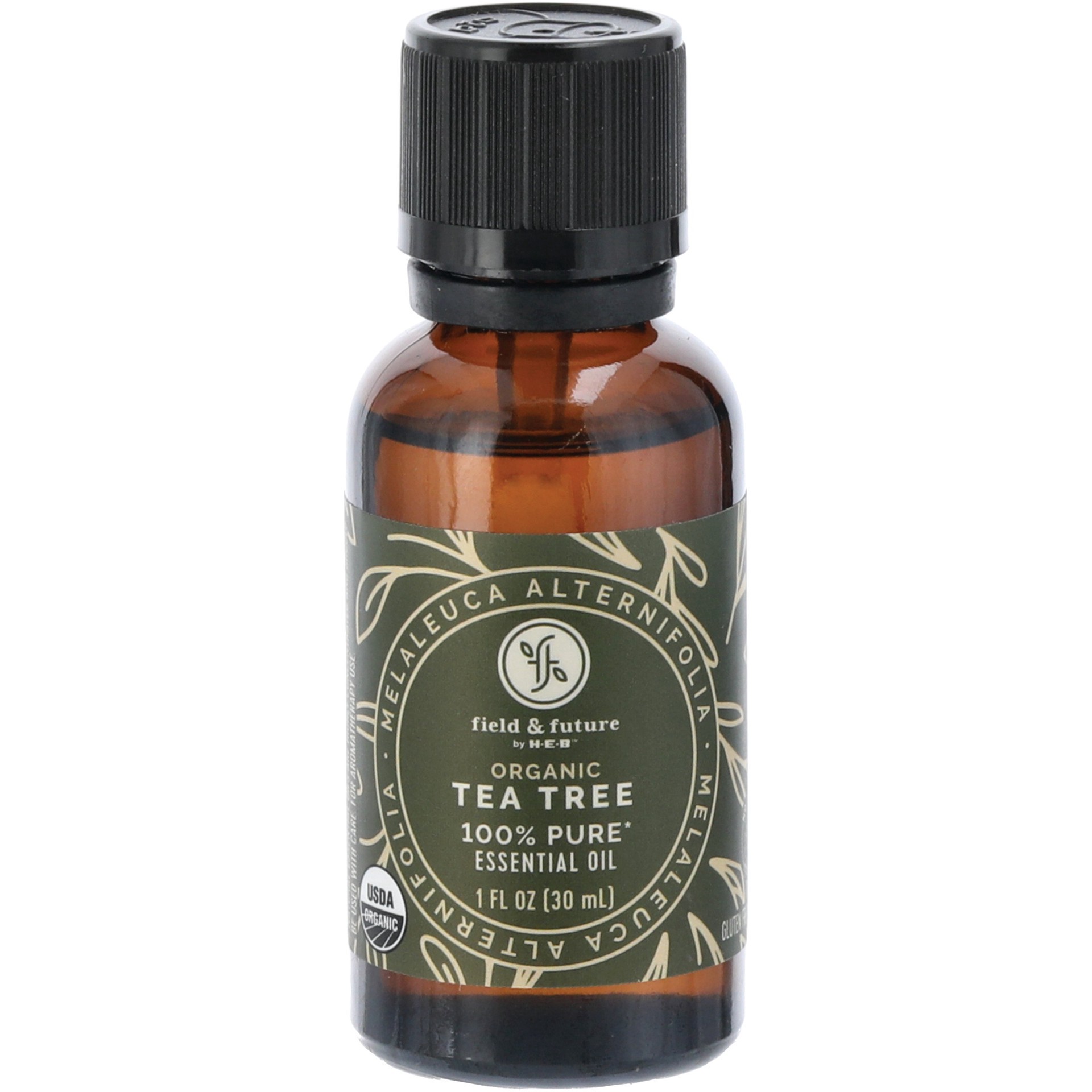 slide 1 of 1, Field & Future by H-E-B Organic Tea Tree Essential Oil, 1 oz