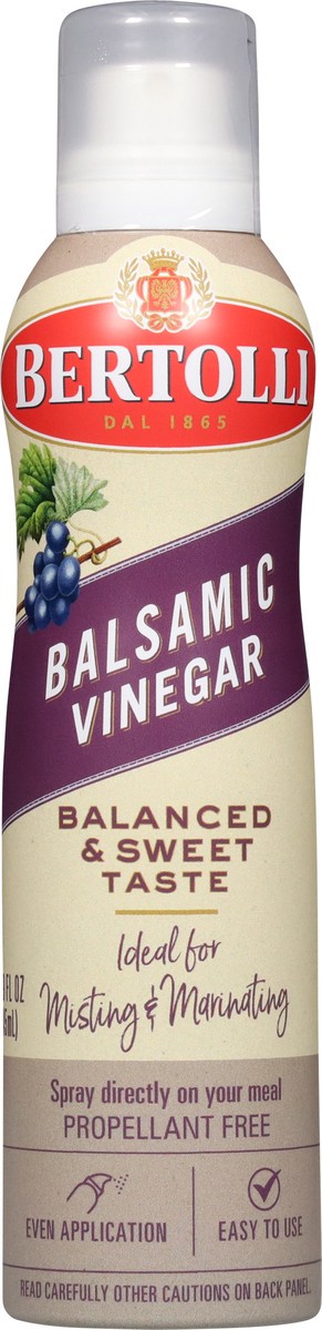 slide 3 of 13, Bertolli Balsamic Vinegar - 4.90 fl oz, 4.90 fl oz