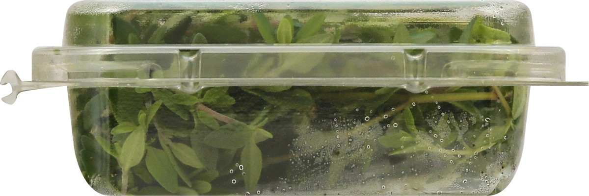 slide 9 of 12, That's Tasty Thyme 0.5 oz, 0.5 oz