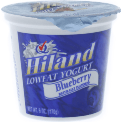 slide 1 of 1, Hiland Dairy Lowfat Blueberry Yogurt, 6 oz