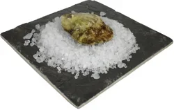 Fresh Great White Oysters