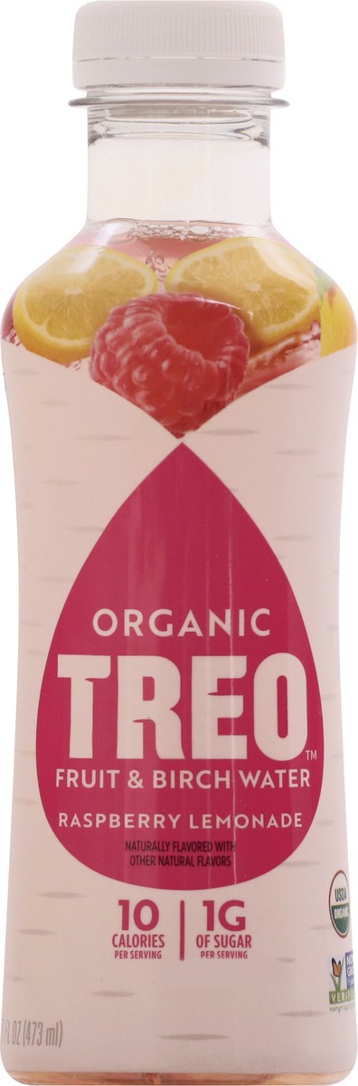 slide 3 of 13, Treo Organic Raspberry Lemonade Fruit & Birch Water 16 oz, 16 oz