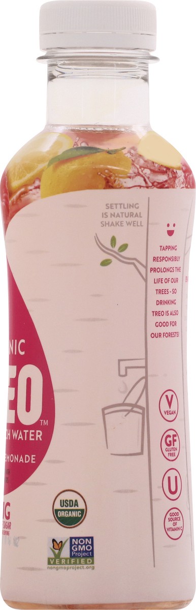 slide 9 of 13, Treo Organic Raspberry Lemonade Fruit & Birch Water 16 oz, 16 oz