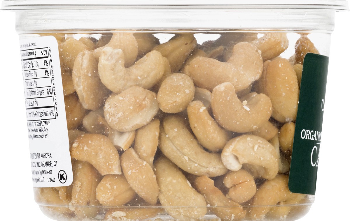 slide 7 of 9, Aurora Natural Natural Organic Roasted Unsalted Cashews 9 oz, 9 oz