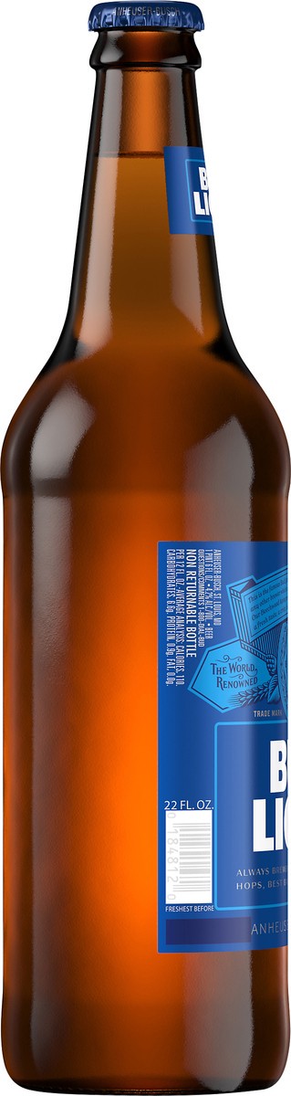 slide 3 of 6, Anheuser Busch Bud Light Beer 22Oz Btl, 22 oz