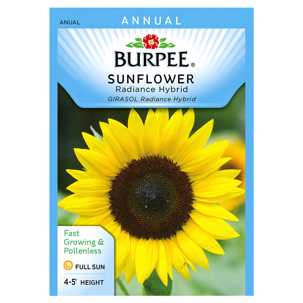 slide 1 of 1, Burpee Sunflower Radiance Hybrid Seeds, 1 ct