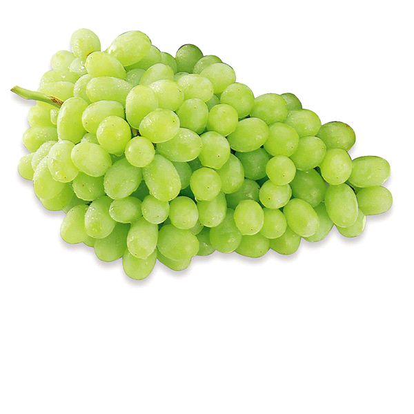 slide 1 of 1, Green Seedless Grapes, 1 ct