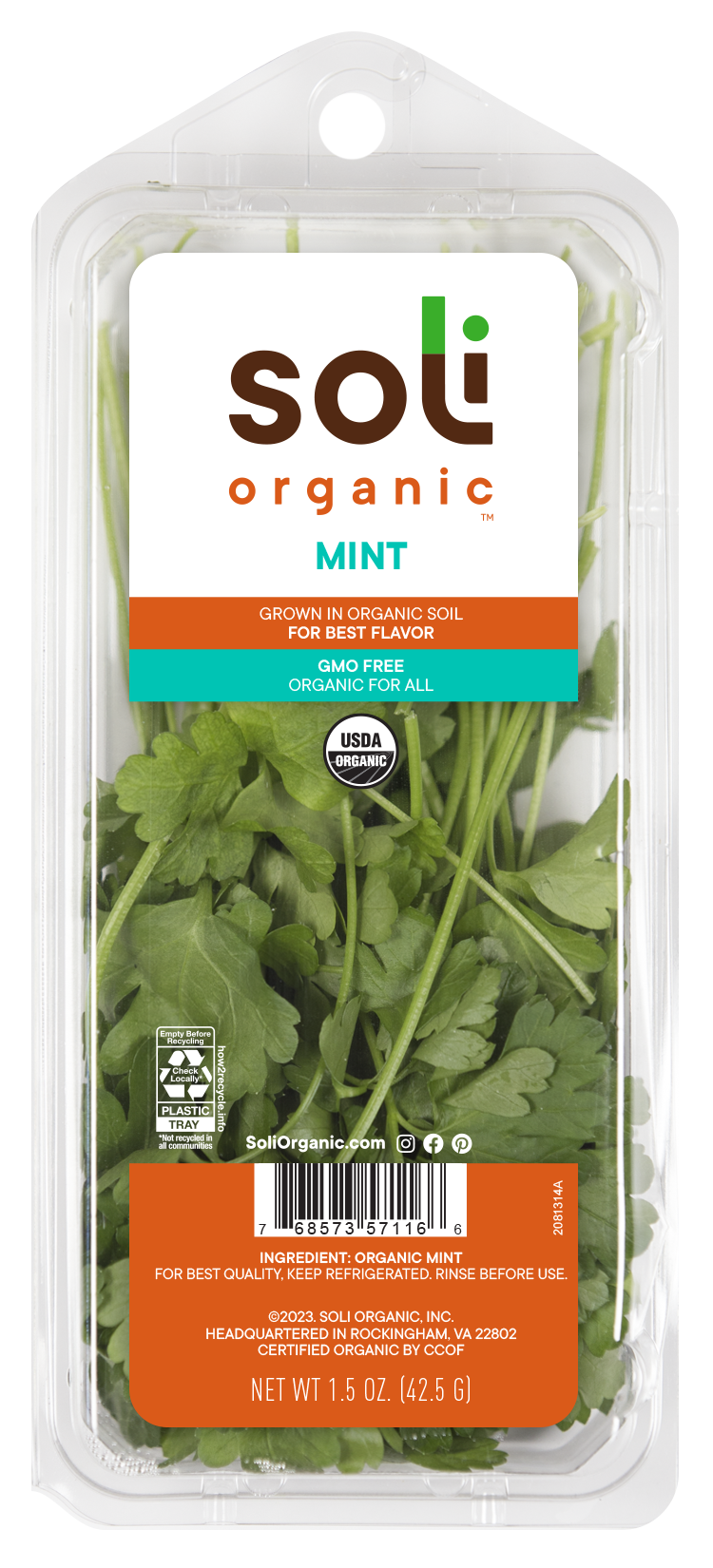 slide 1 of 1, Mint Clamshell 1.5Oz, 1.5 oz