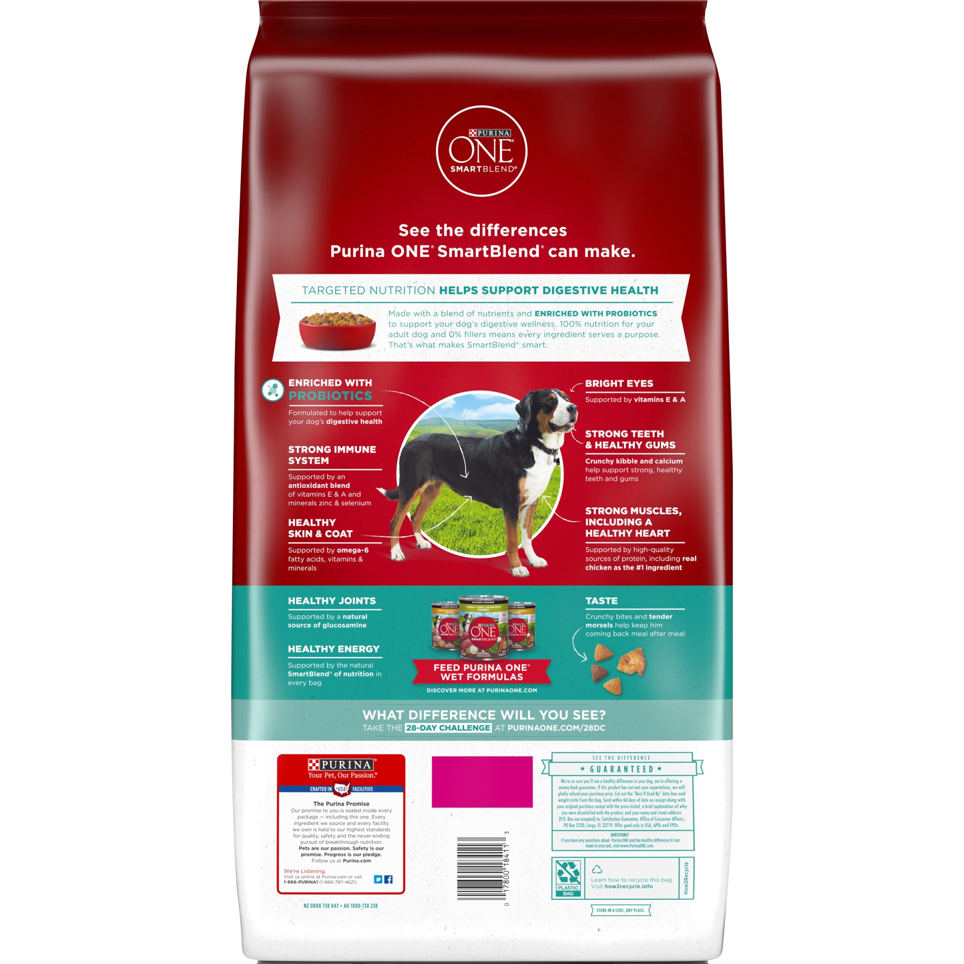 Purina ONE Purina One Smartblend Digestive Health Formula Dry Dog Food ...