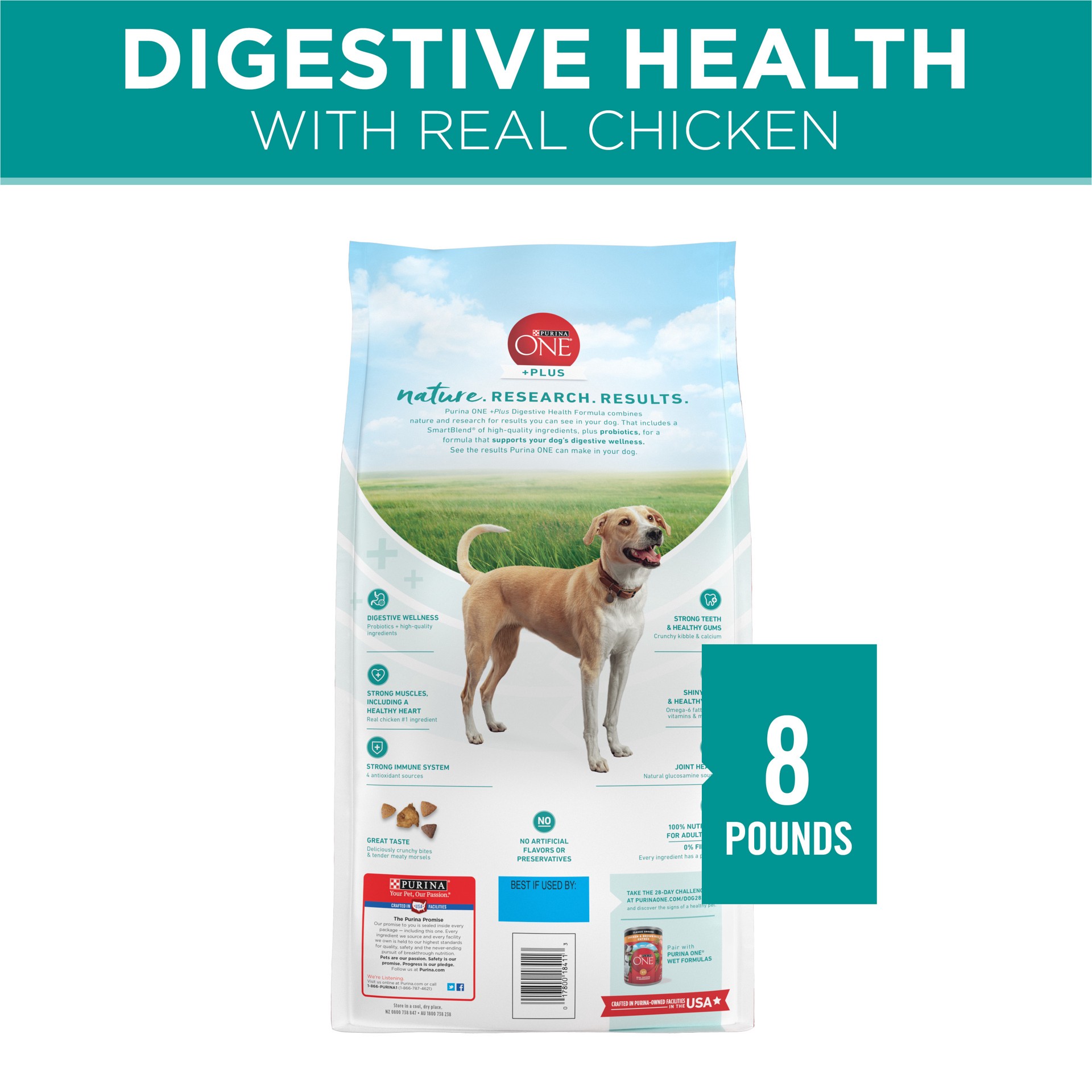 slide 2 of 8, ONE Purina One Plus Digestive Health Formula Dry Dog Food Natural with Added Vitamins, Minerals and Nutrients, 8 lb